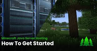 Minecraft Hosting